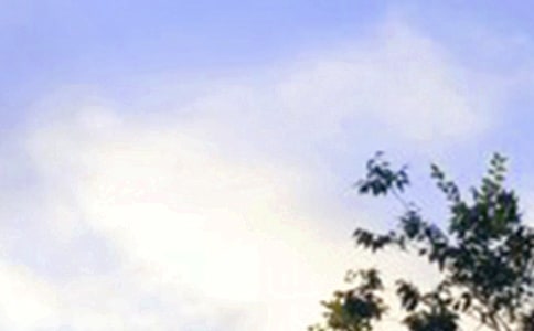 ΢���簲���������� �簲����������