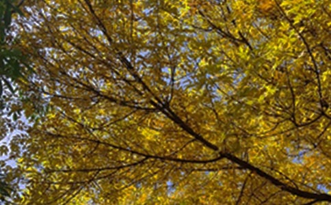 最新朋友圈早安句子大全135句精选