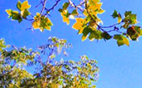 ��������簲ǩ��45��