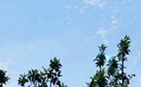 ���ø����簲ǩ��90��