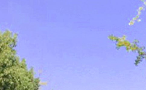 最新朋友圈早安句子110句精选