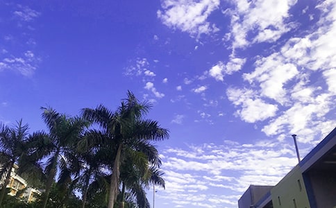 �µ�һ���簲��˵˵