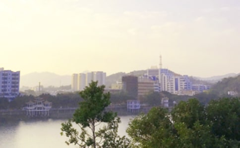 简单个性早安句子(通用175句)