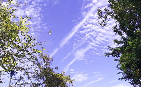 �簲���Ӽ򵥿ɰ�