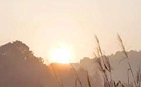 早安共勉句子语录摘录43句