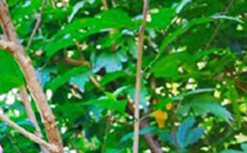 2018�簲����˵˵