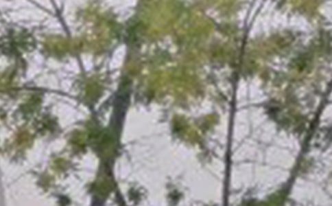 简单的早安说说