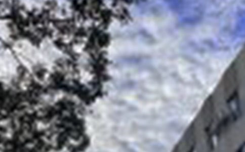 微信朋友圈的早安说说(合集14篇)