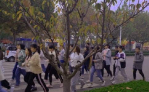 ��ٳٵ���������8ƪ