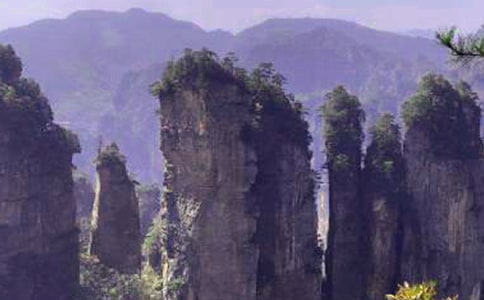 张家界市本地有哪些大学,张家界市所有的大学名单及排名榜单