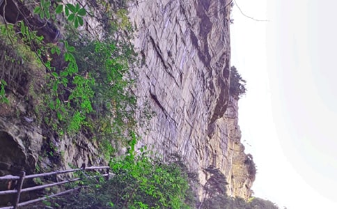 2018�żҽ�����ϸѧ������ͼ,�żҽ���Сѧѧ������ͼ