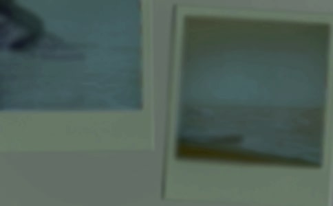 ��ר��Ƭ��Ҫ������Ƭ