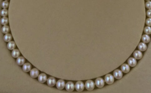 珍珠,你奔跑在我心里小升初作文1200字