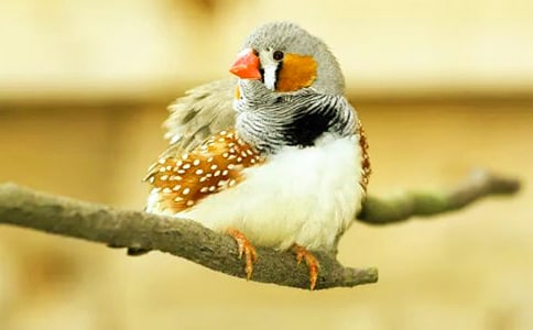 �������񡷶����15ƪ����Ʒ��