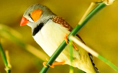 (�ر�)�����������и�