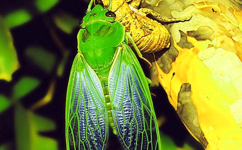 д֪�˵�����300��9ƪ