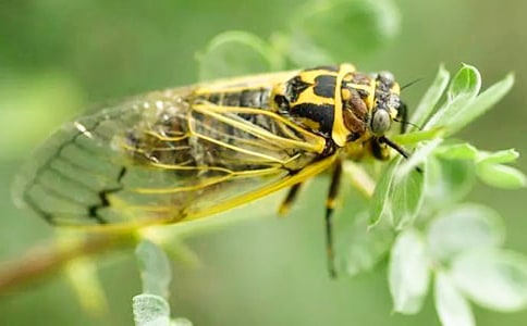 ֪��ѧ�ɸ�������ʲô����