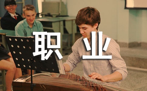 �������ְҵ����