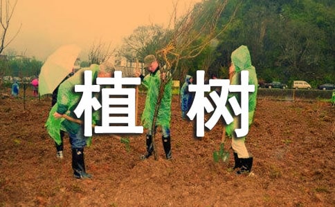 我们一起去植树主题班会