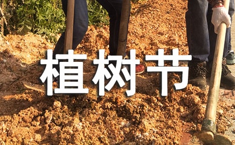 植树节学生黑板报内容