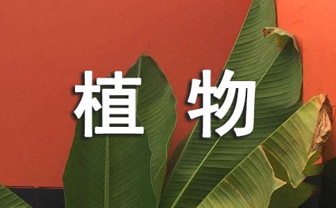 植物保护专业大学排名