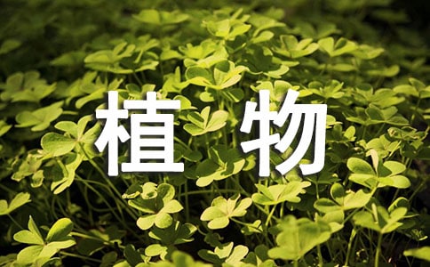 2018年植物保护专业大学排名和录取分数线排名