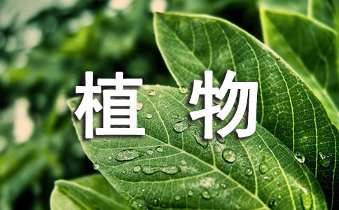全国植物生产类专业大学排名,2018年植物生产类专业大学排行榜