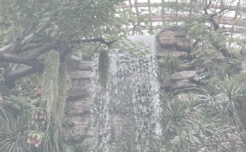 ֲ��԰�ۺ��ͨ��15ƪ