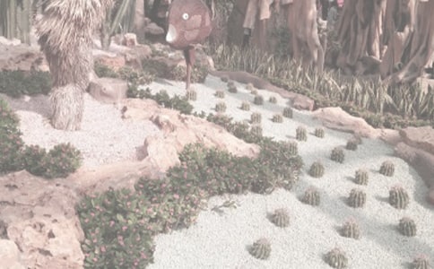 ֲ��԰���λ����