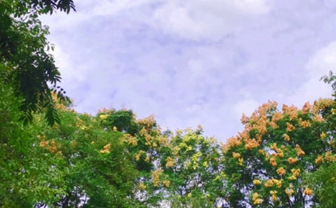 描写中午的句子15篇【优选】