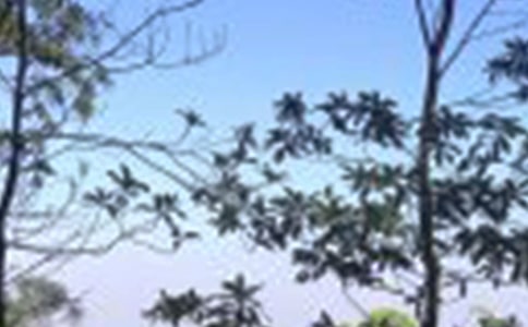 中午的英文缩写