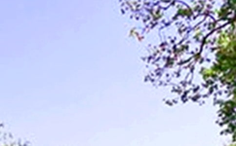 中午的作文300字(锦集3篇)