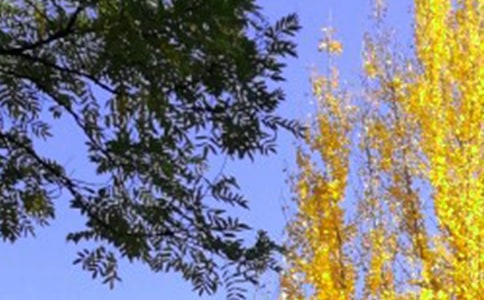 ��������ľ���