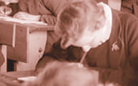 ��ѧ�������۾��ֳ�����������