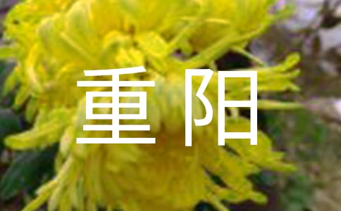 关于重阳菊花的诗句