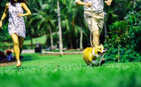 精选周末作文300字3篇