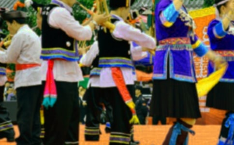 ׳��������������