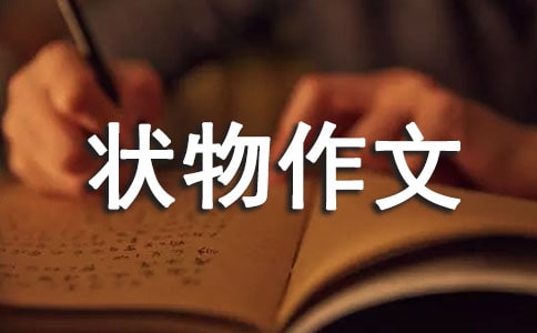 关于状物作文300字集锦八篇