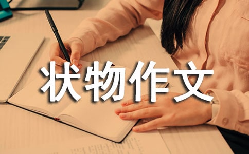实用的状物作文300字锦集9篇