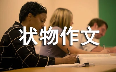 有关三年级状物作文300字锦集十篇