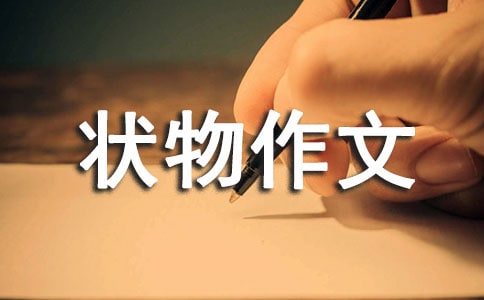 【精选】状物作文300字集合五篇