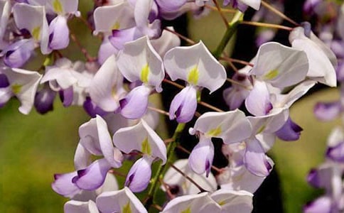 �����ϣ���д���ٻ��ľ���