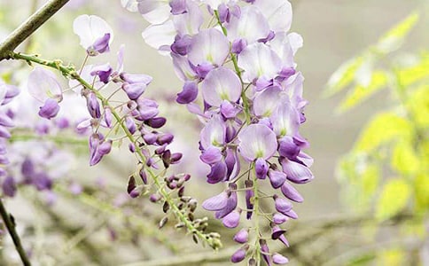 ��д���ٻ��ľ���