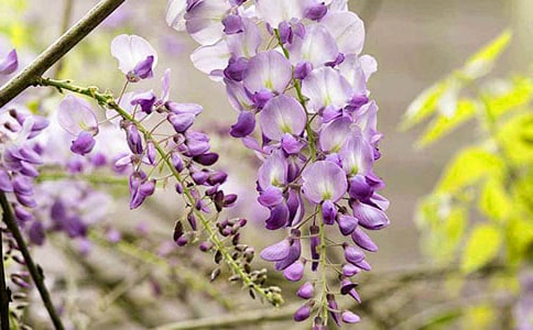 ��д���ٻ��ĺþ��Ӻö�