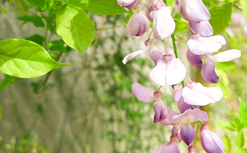 ��д���ٻ��ľ���(7ƪ)