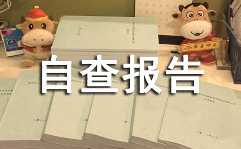 小学安全自查报告