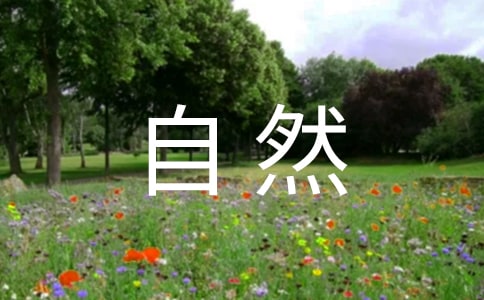 描写自然现象的片段作文