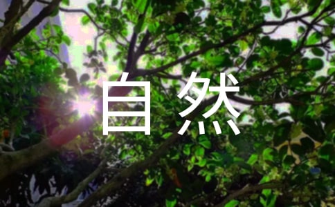 描写大自然的片段句子,描写大自然的诗句大全