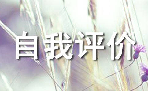 自我评价优点缺点