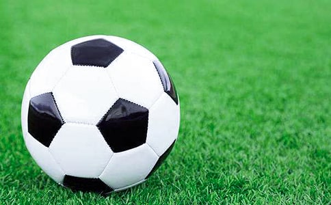 ������������(����15ƪ)